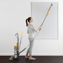 Load image into Gallery viewer, Dyson Ball Origin